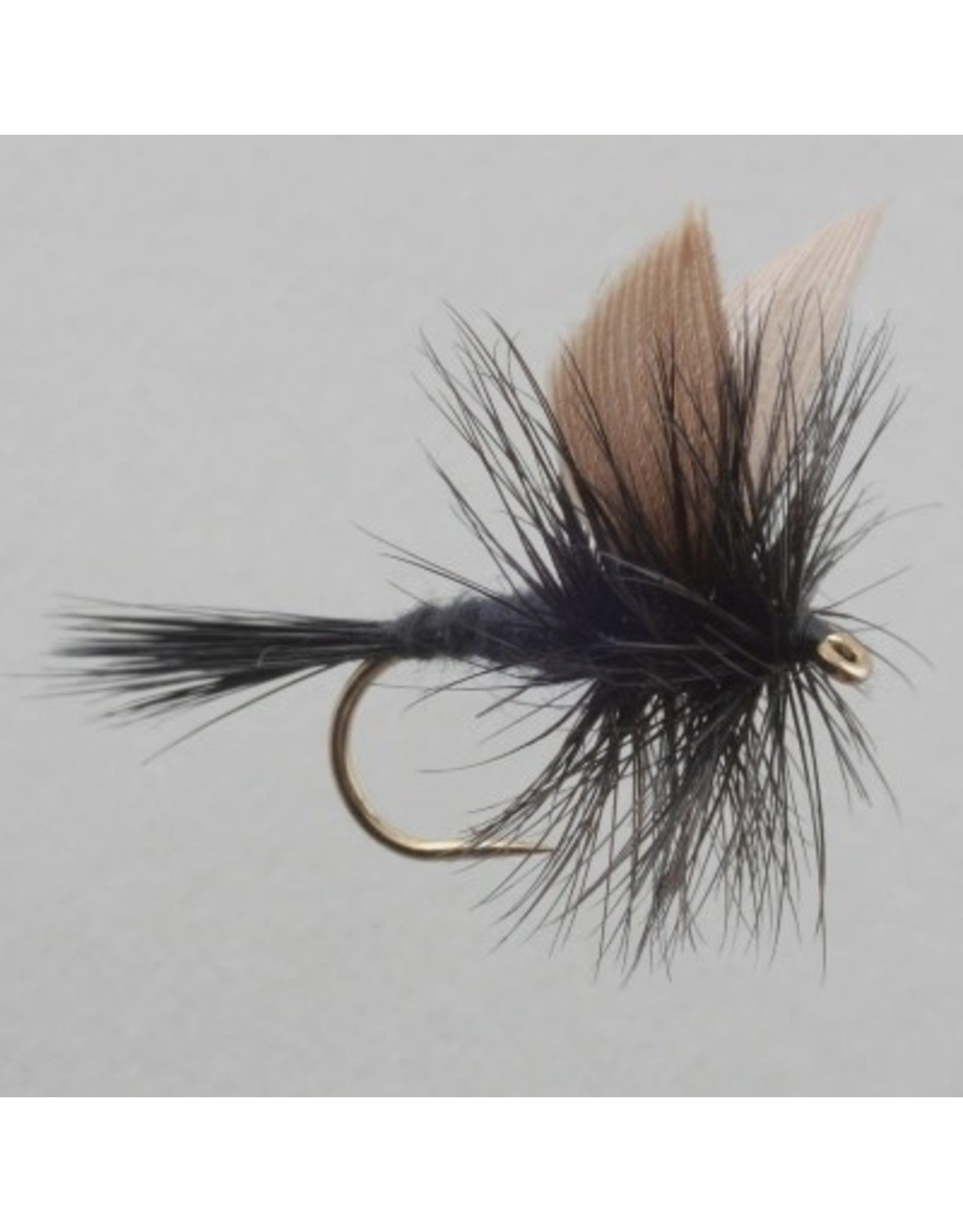 BLACK GNAT #12