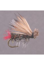 HOT BUTT CADDIS Peacock #12