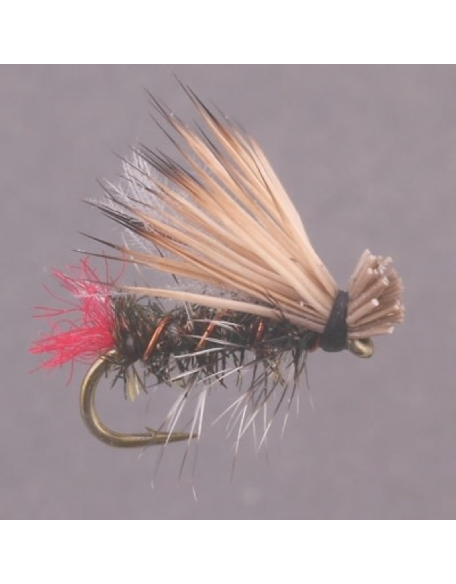 HOT BUTT CADDIS Peacock #12