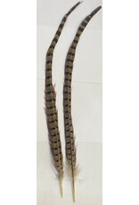 SHOR SHOR Pheasant Tail 18-20" Pair - Natural