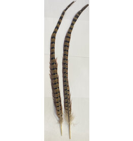 SHOR SHOR Pheasant Tail 18-20" Pair - Natural