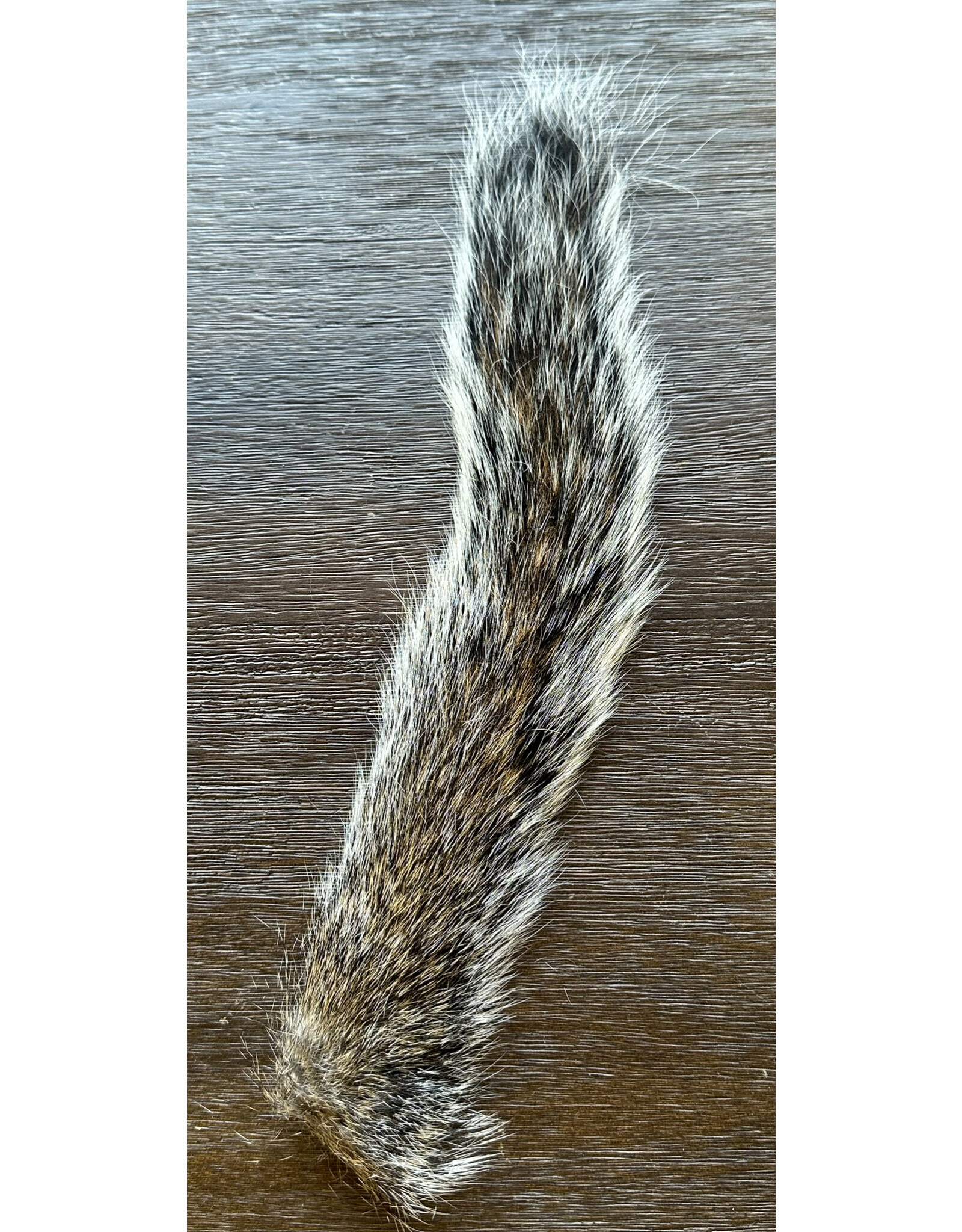 SHOR Squirrel Tail - Natural Grey