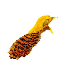 SHOR SHOR Golden Pheasant Head