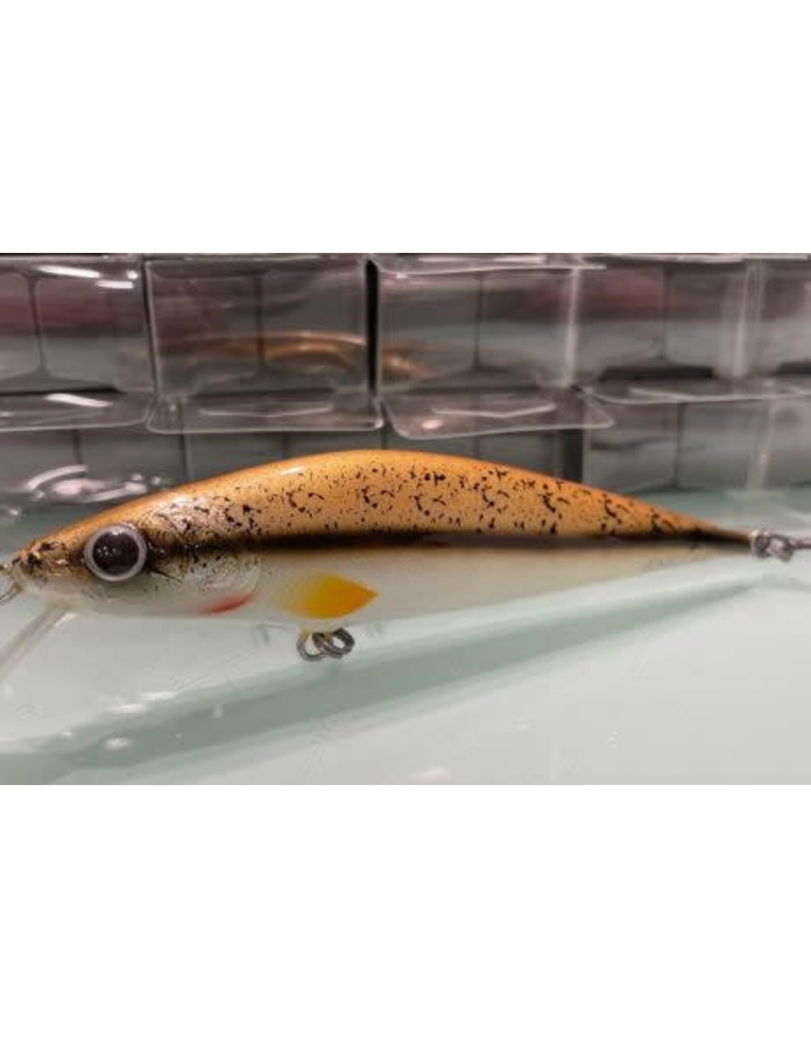 CST Handmade Lures CST D Contact 12cm Black Nose Dace