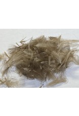 SHOR SHOR CDC Feathers