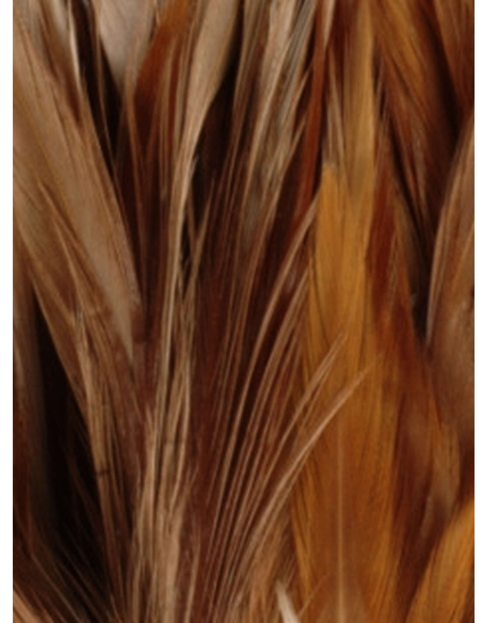 SHOR SHOR Hackle 6-8"