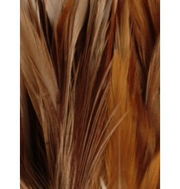 SHOR SHOR Hackle 6-8"