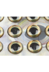 Flymen Co. Fish Skull Living Eyes