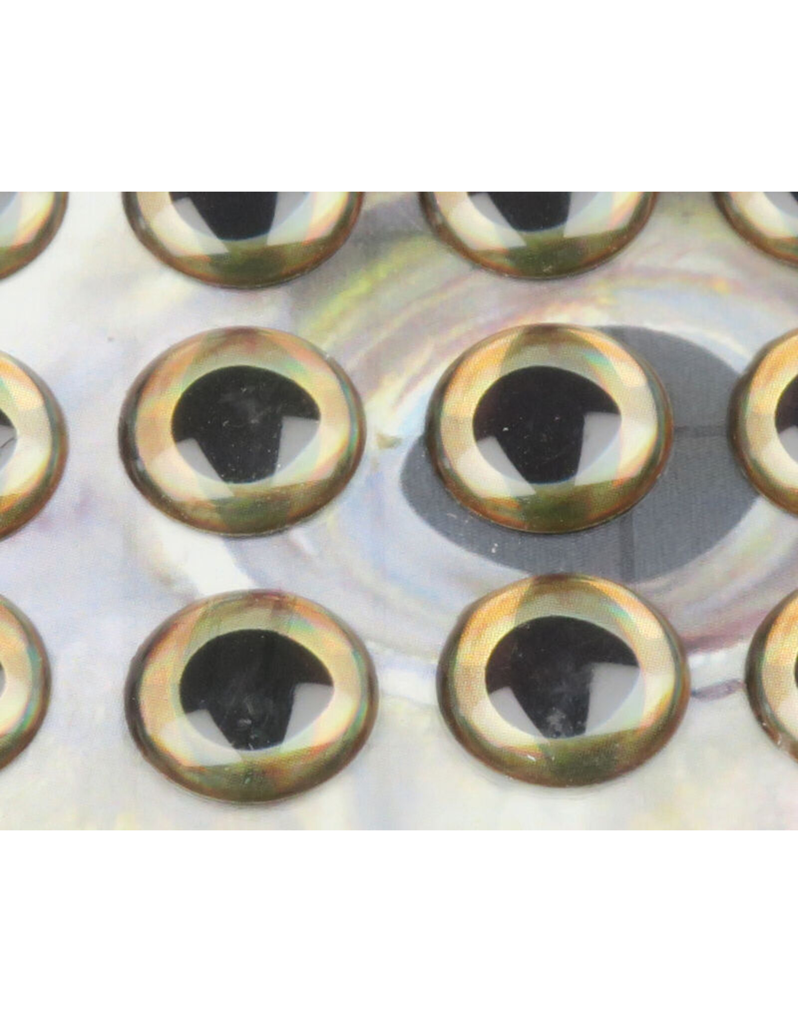 Flymen Co. Fish Skull Living Eyes