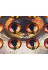 Flymen Co. Fish Skull Living Eyes