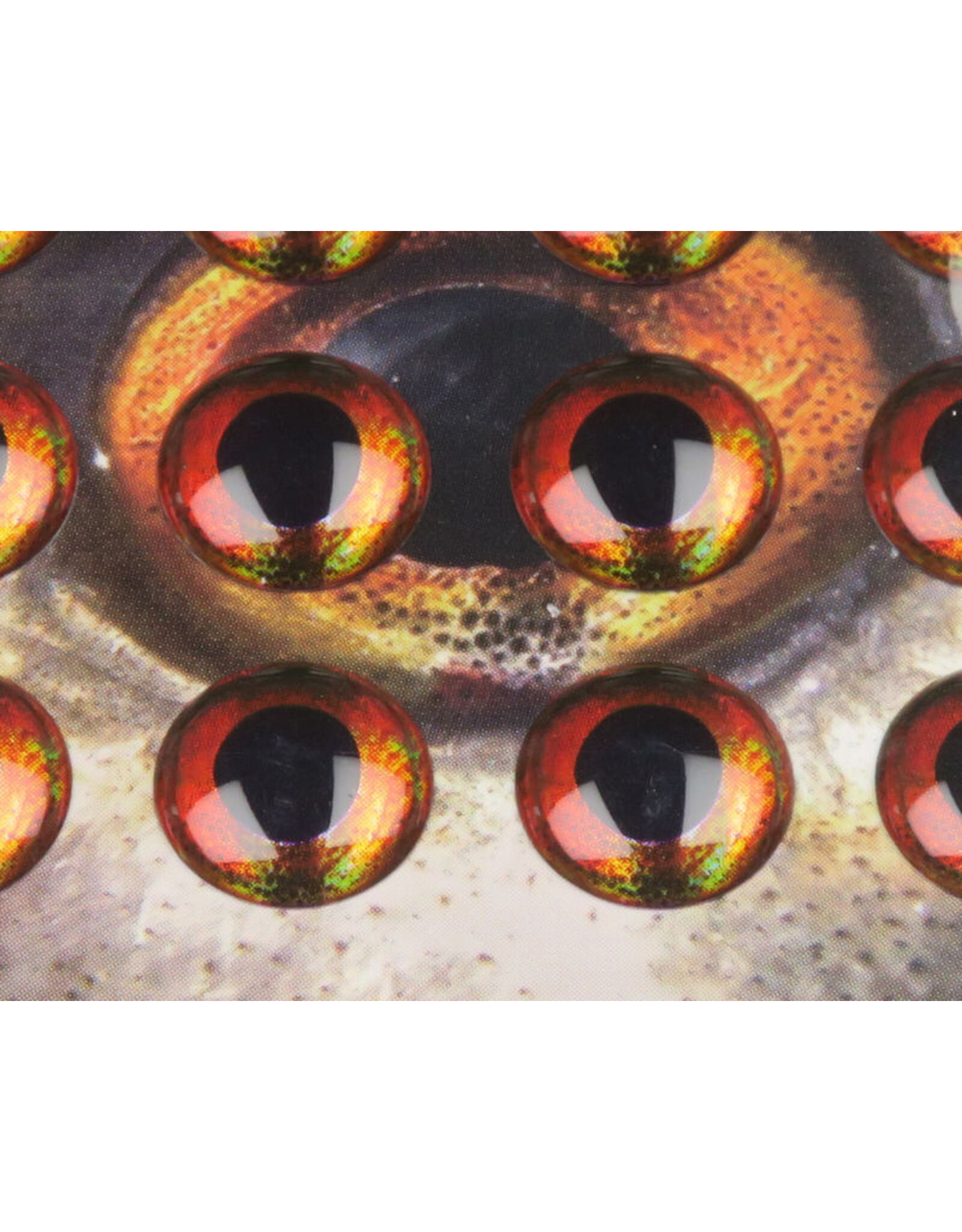 Flymen Co. Fish Skull Living Eyes