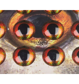 Flymen Co. Fish Skull Living Eyes