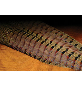 Hareline Ringneck Pheasant Complete Tail Clump Natural RPCT