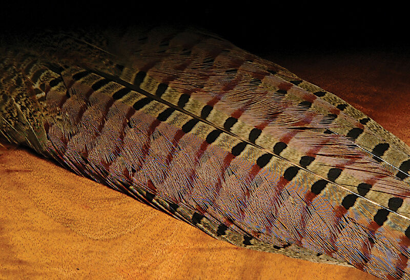 thumbnail image 2 of Hareline Ringneck Pheasant Tail Clump - Natural Fly Tying Feathers 2 of 6