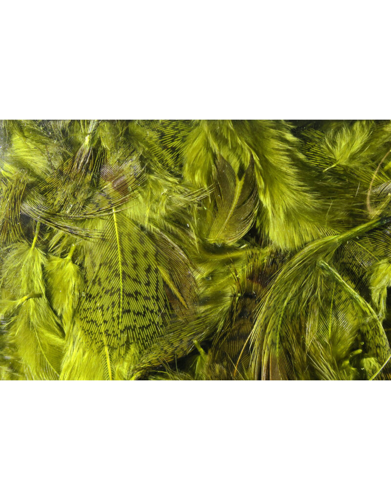 Hareline Premium Hungarian Partridge Feathers - Olive PHP263