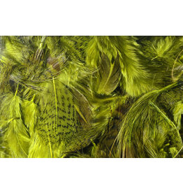 Hareline Premium Hungarian Partridge Feathers - Olive PHP263