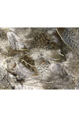 Hareline Premium Hungarian Partridge Feathers - Natural PHP242