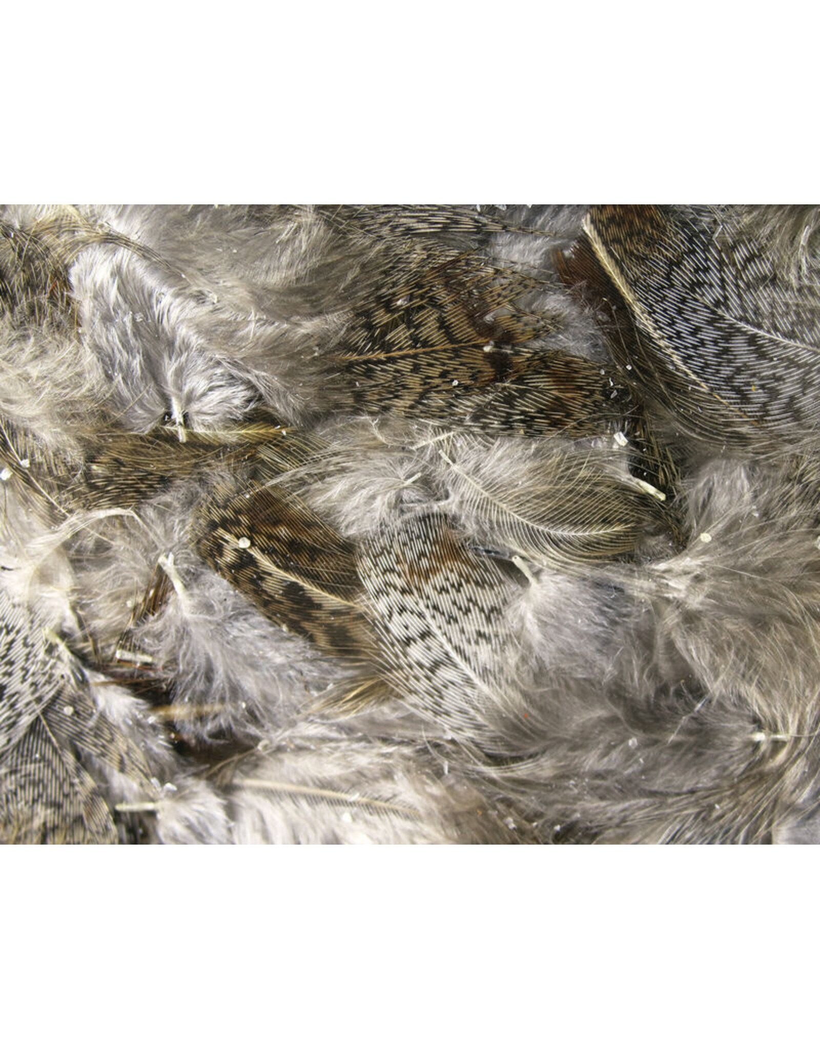 Hareline Premium Hungarian Partridge Feathers - Natural PHP242