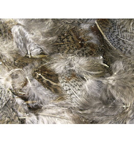 Hareline Premium Hungarian Partridge Feathers - Natural PHP242