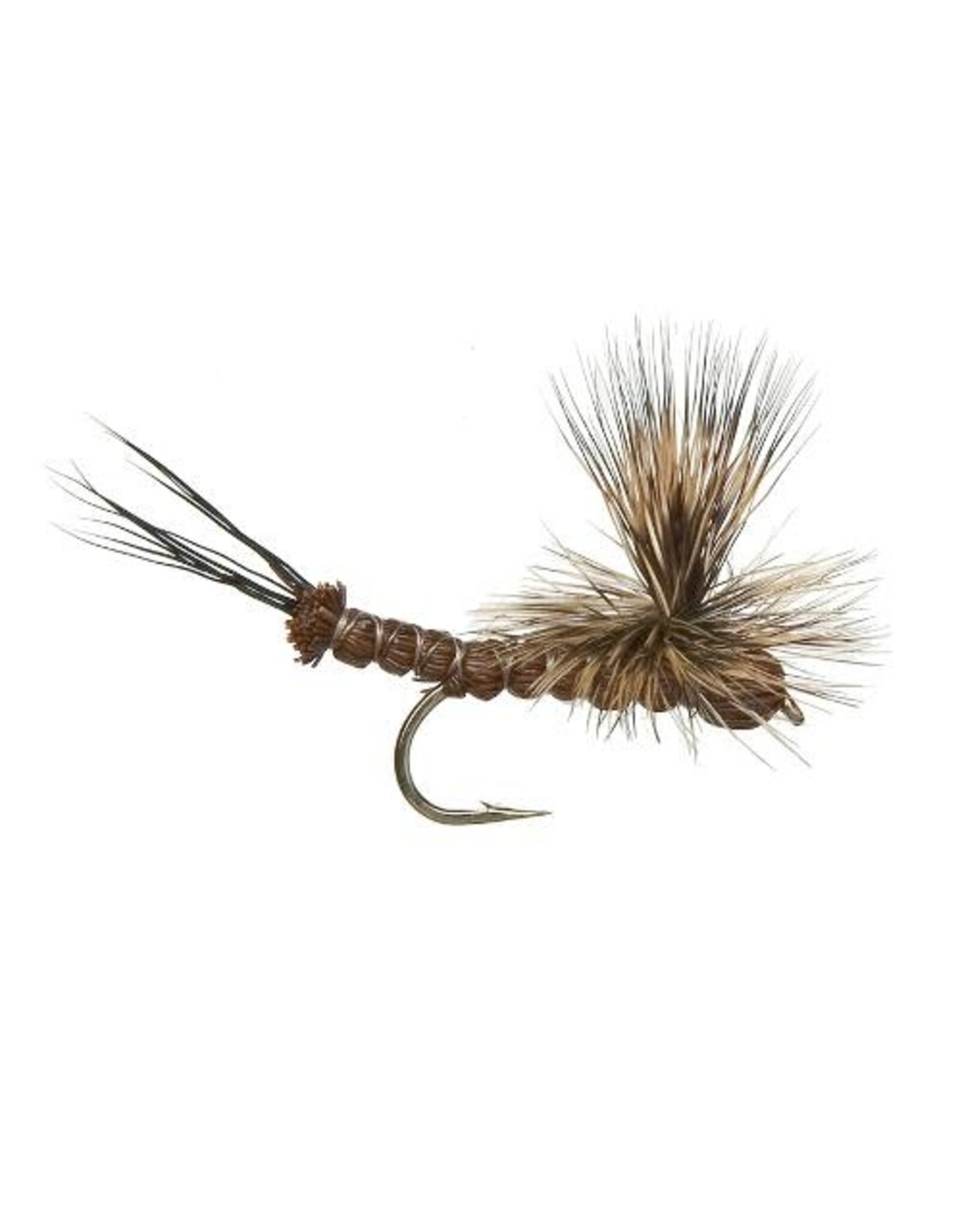 EXT BODY BROWN DRAKE #12