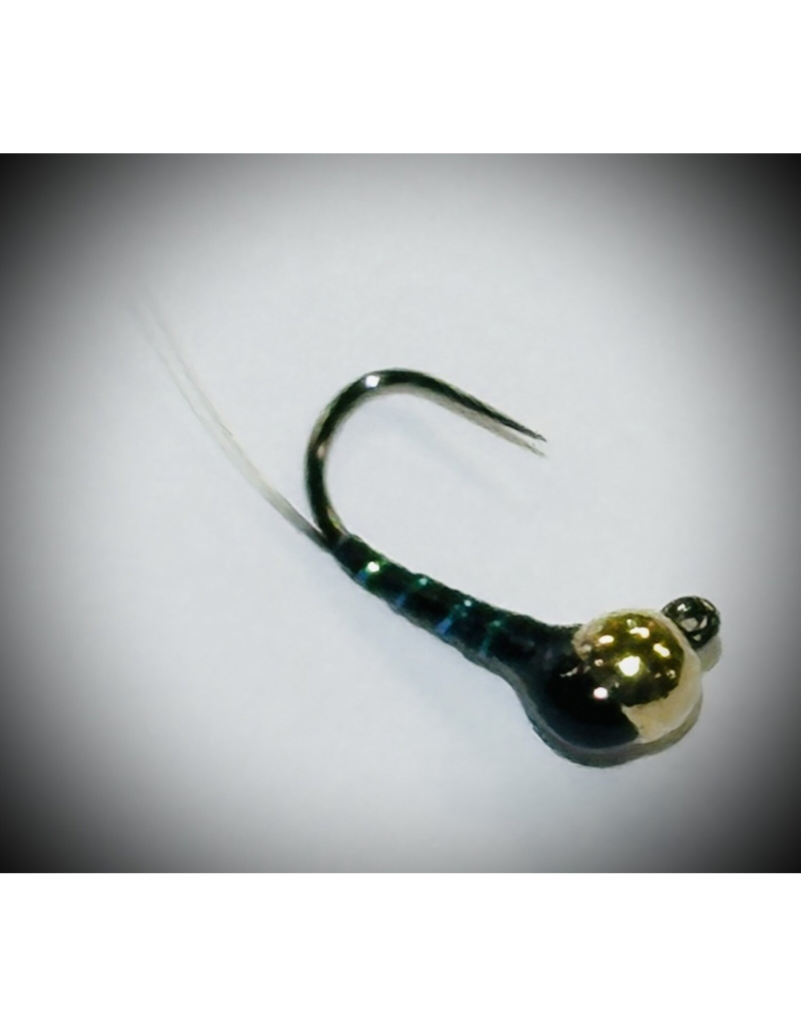REID'S PERDIGON BLACK #12