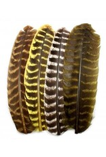 Hook & Hackle Canada Ozark Barred Turkey Quill - Natural Muddler