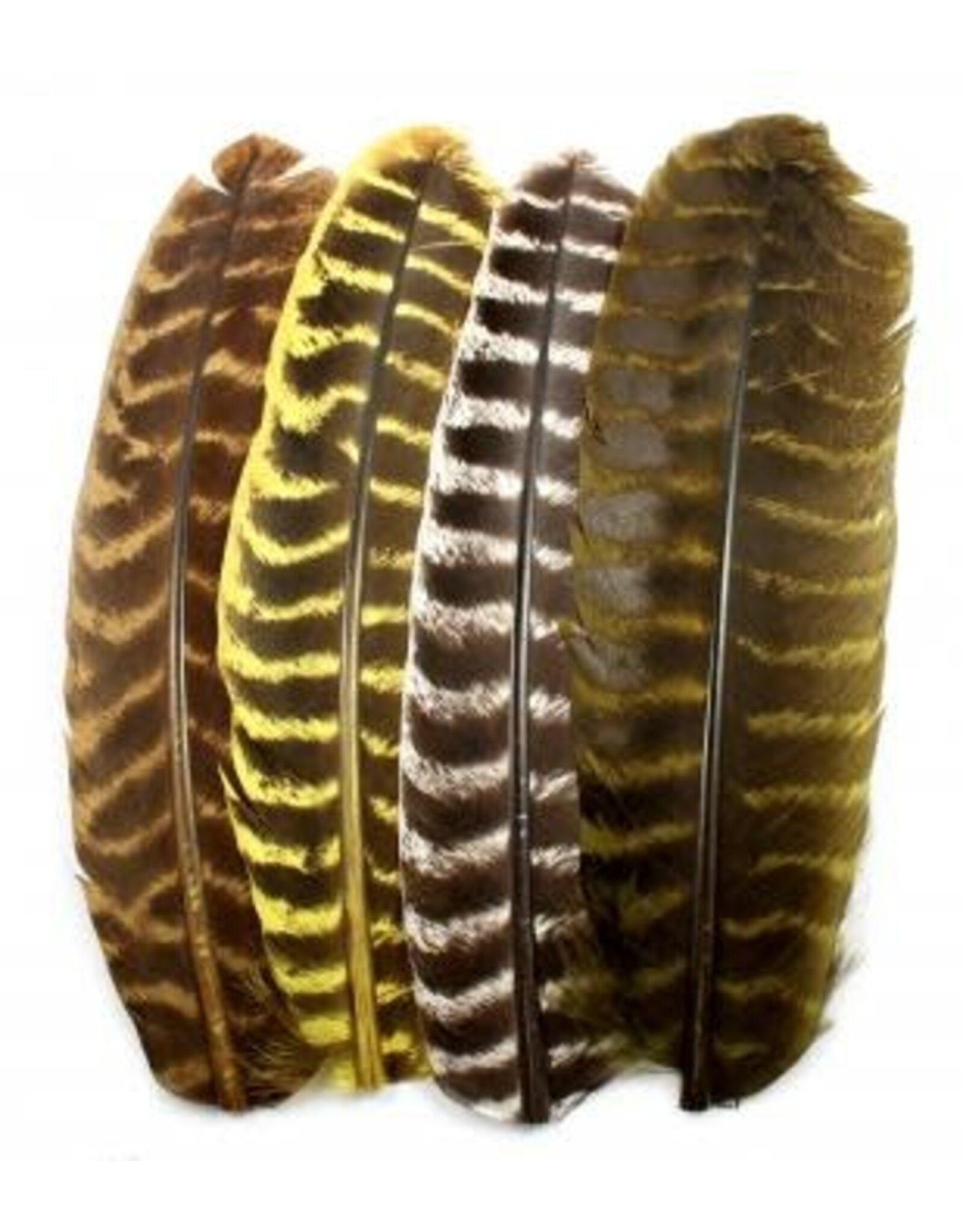 Hook & Hackle Canada Ozark Barred Turkey Quill - Natural Muddler