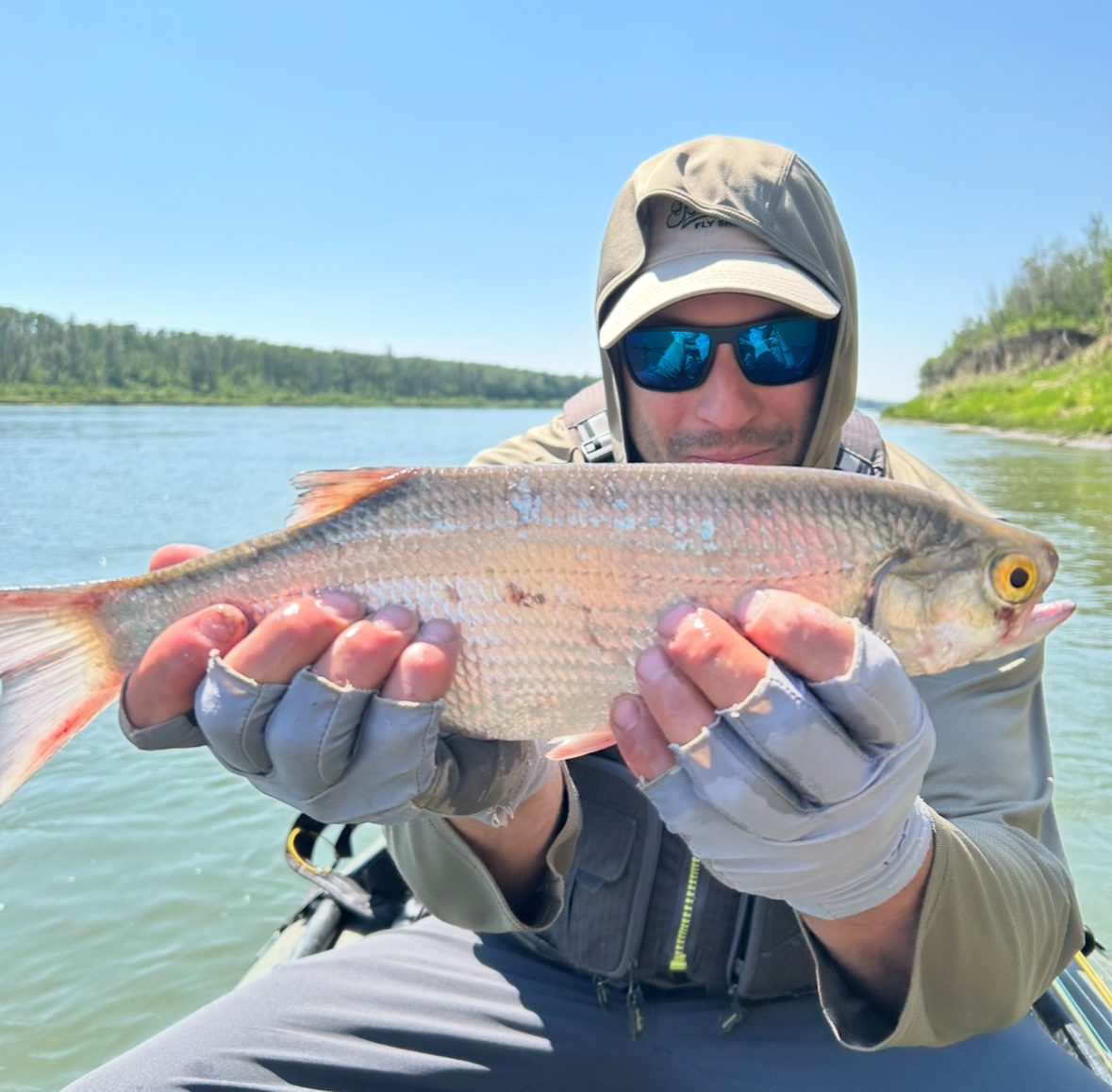 North Saskatchewan River Fishing Report 2025 Season