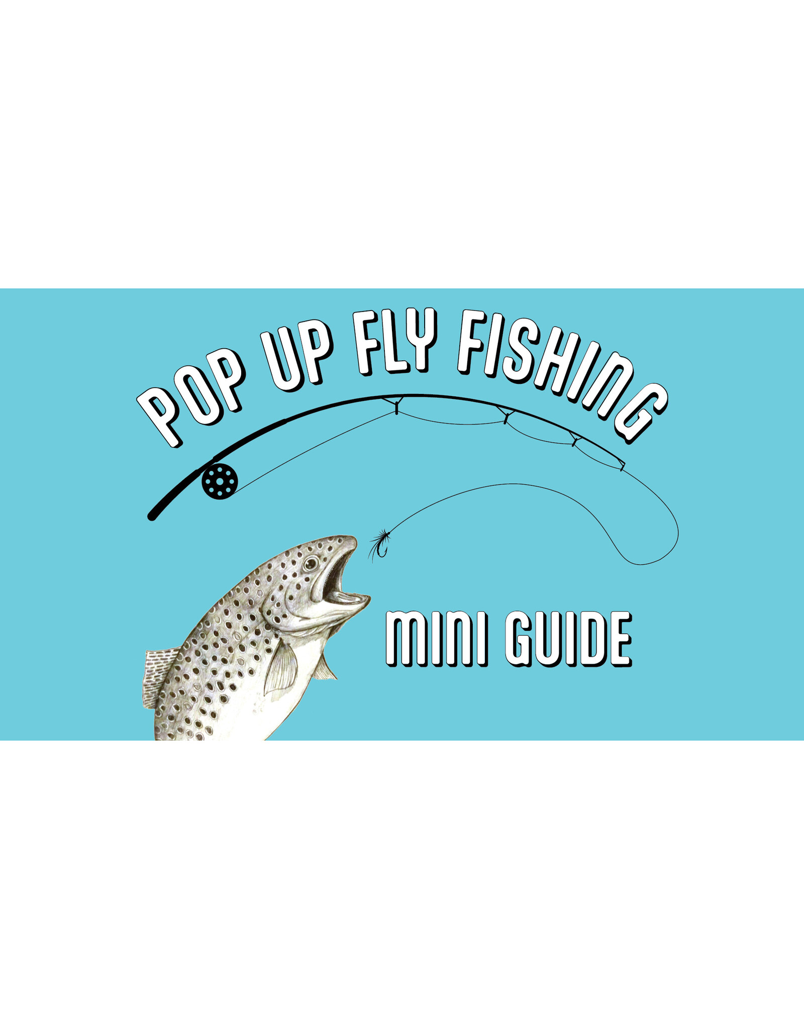 POP UP FLY FISHING MINI GUIDE