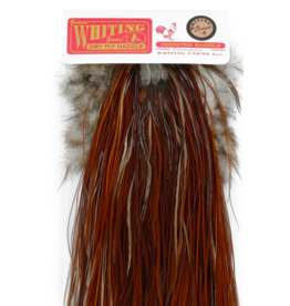 Whiting Farms Whiting Bronze Saddle (Full Saddle)