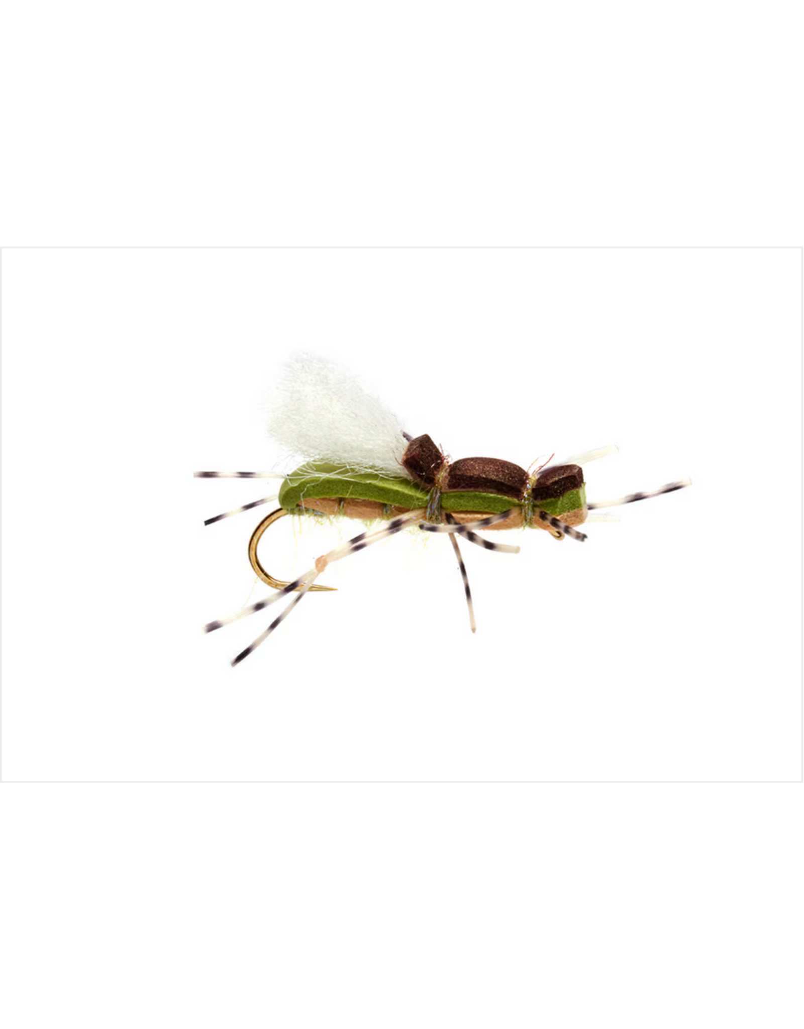 FULLING MILL GORDO ALBERTO OLIVE S10