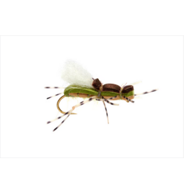 FULLING MILL GORDO ALBERTO OLIVE S10