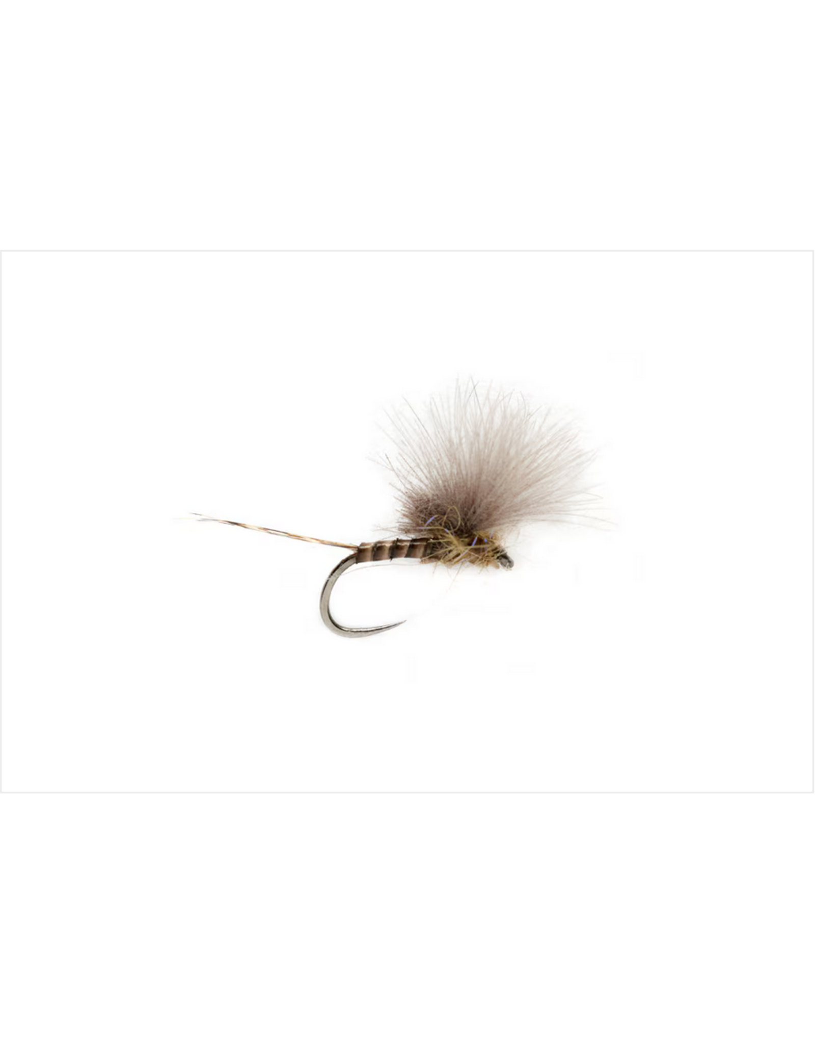 FULLING MILL MCPHAIL CDC OLIVE QUILL B/L