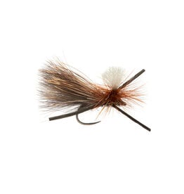 FULLING MILL BASSETTS X TERRESTRIAL