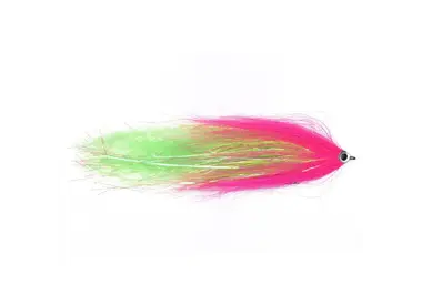 Flies