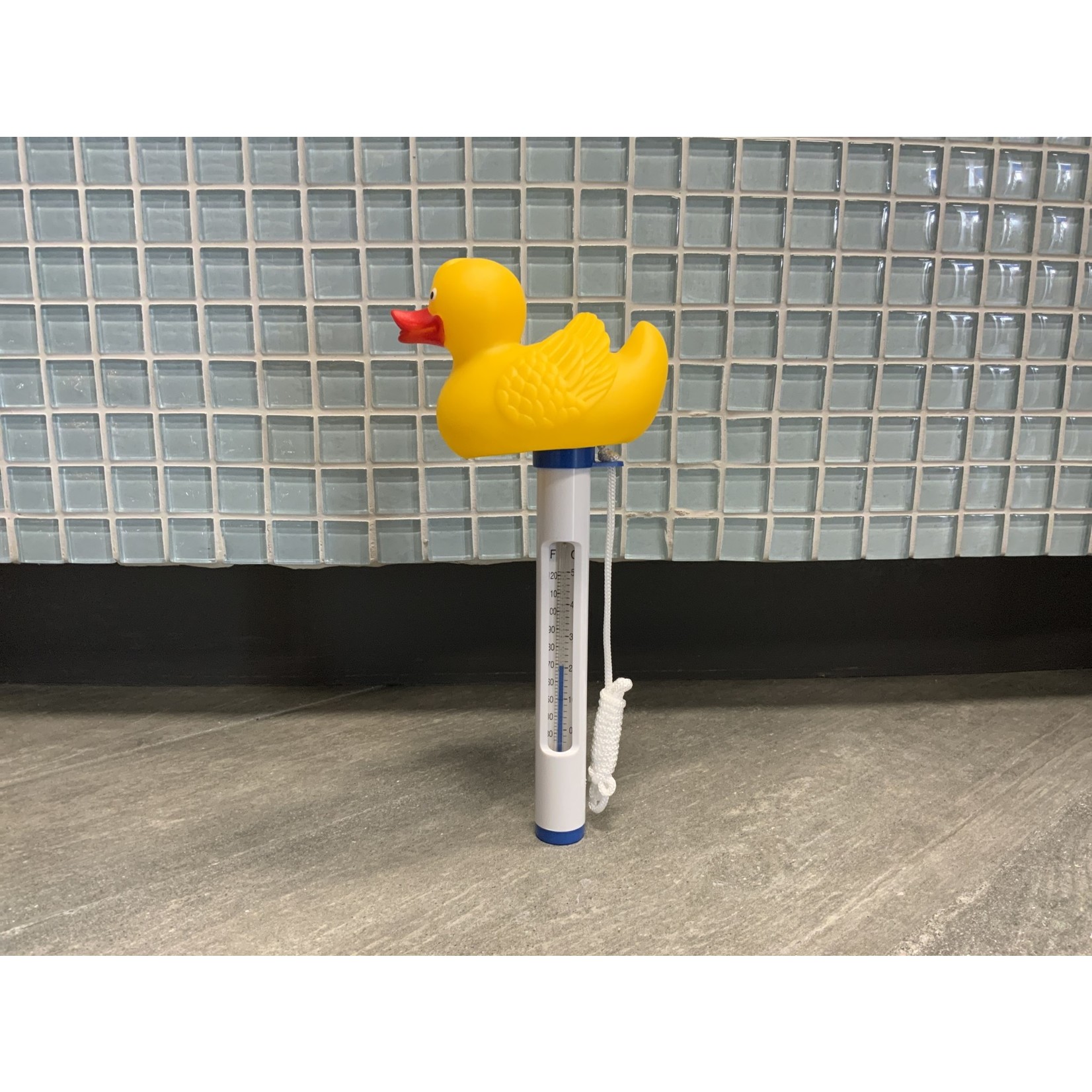 THERMOMETER DUCK