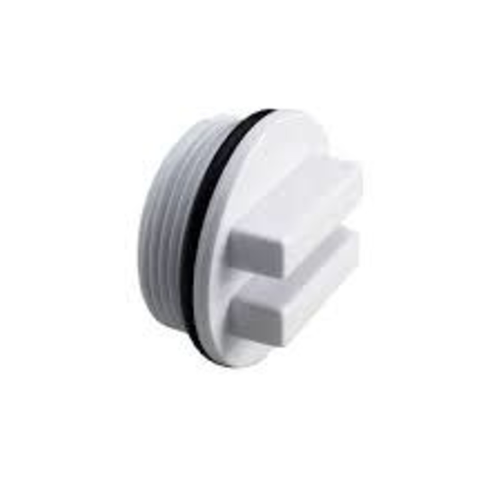 Hayward HAYWARD WINTER PLUG W/ O'RING