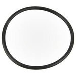 Pentair PENTAIR GASKET INTELLICHOLR O-RING