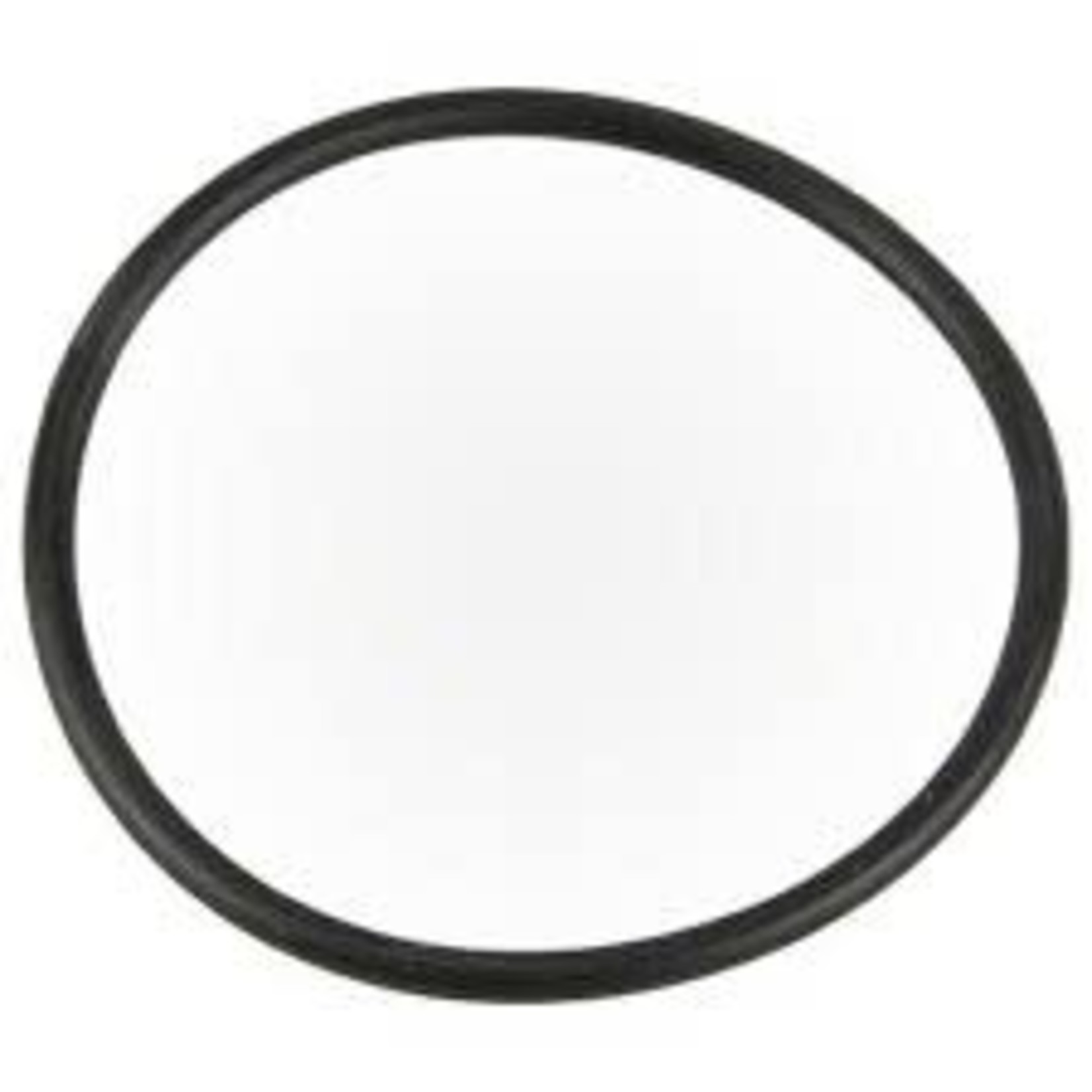 Pentair PENTAIR GASKET INTELLICHOLR O-RING