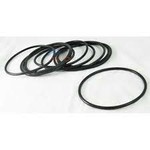 Olympic OLYMPIC CHLORINATOR COVER O-RING