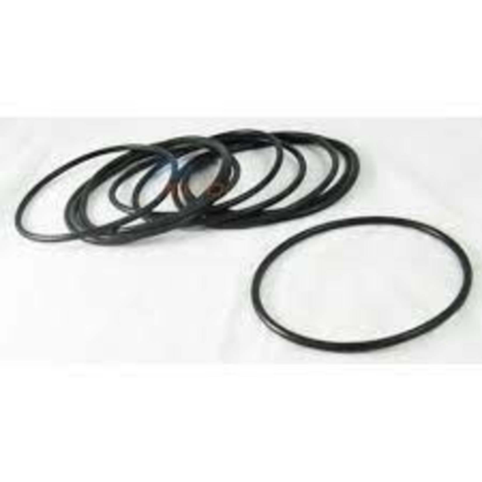 Olympic OLYMPIC CHLORINATOR COVER O-RING