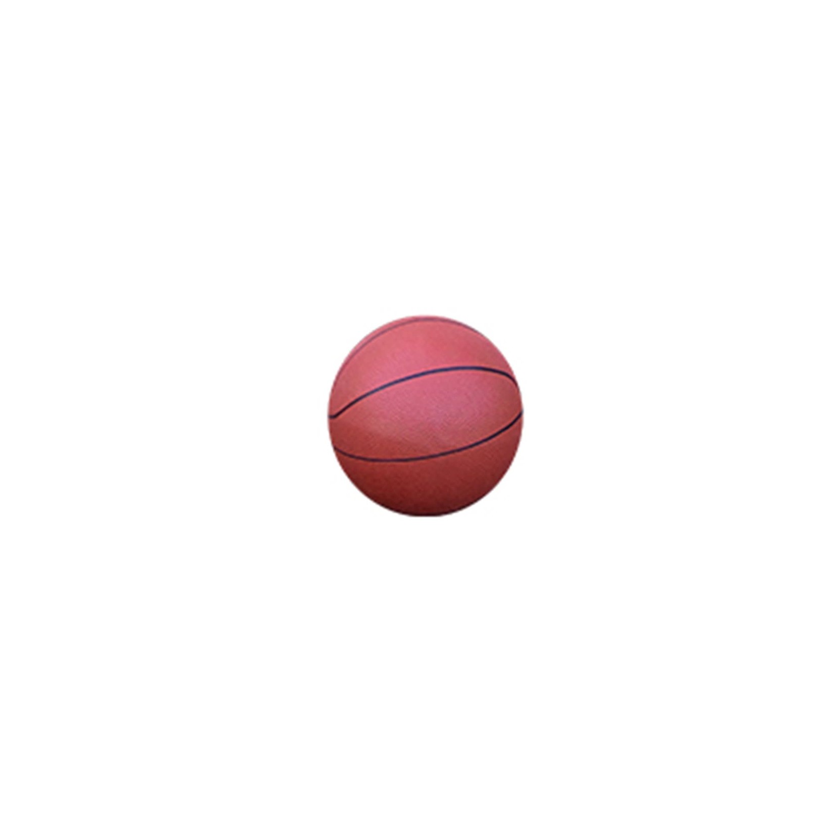 COOLJAM PRO POOLSIDE BASKETBALL