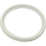 SPA ORING/GASKET-HEATER 2 1/2"