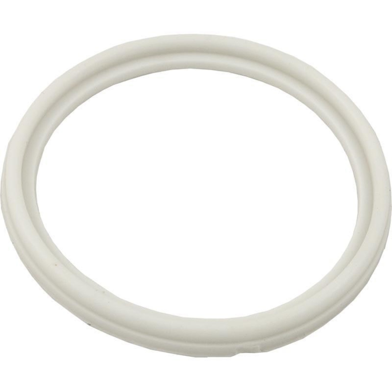 SPA ORING/GASKET-HEATER 2 1/2"