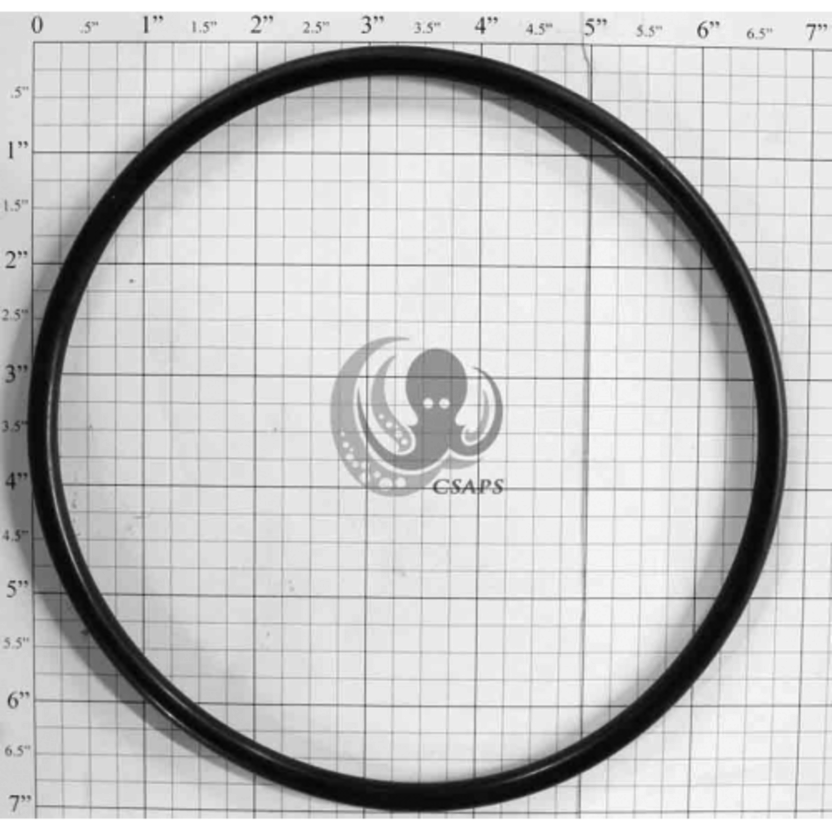 STARITE MAXI-E-GLAS LID O-RING