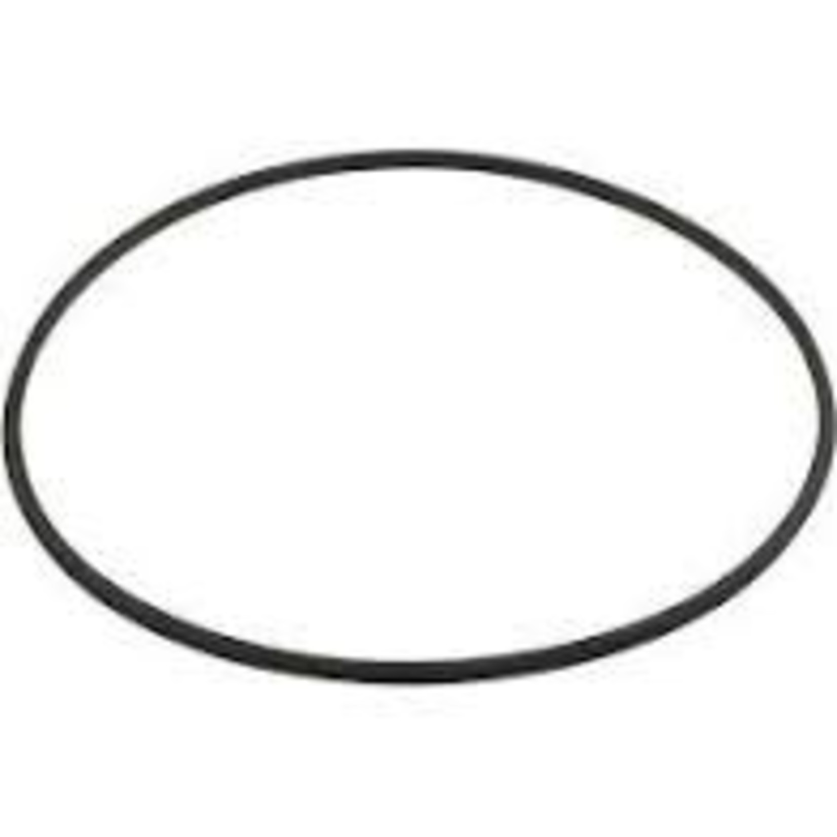 Hayward HAYWARD FILTER METAL SEAL