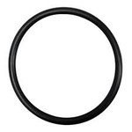 Pentair PENTAIR SUPERFLO BODY O-RING