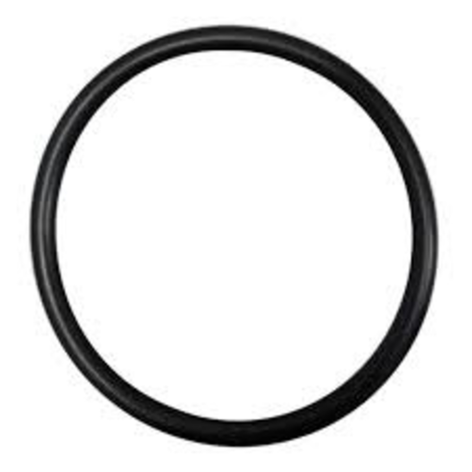 Pentair PENTAIR SUPERFLO BODY O-RING