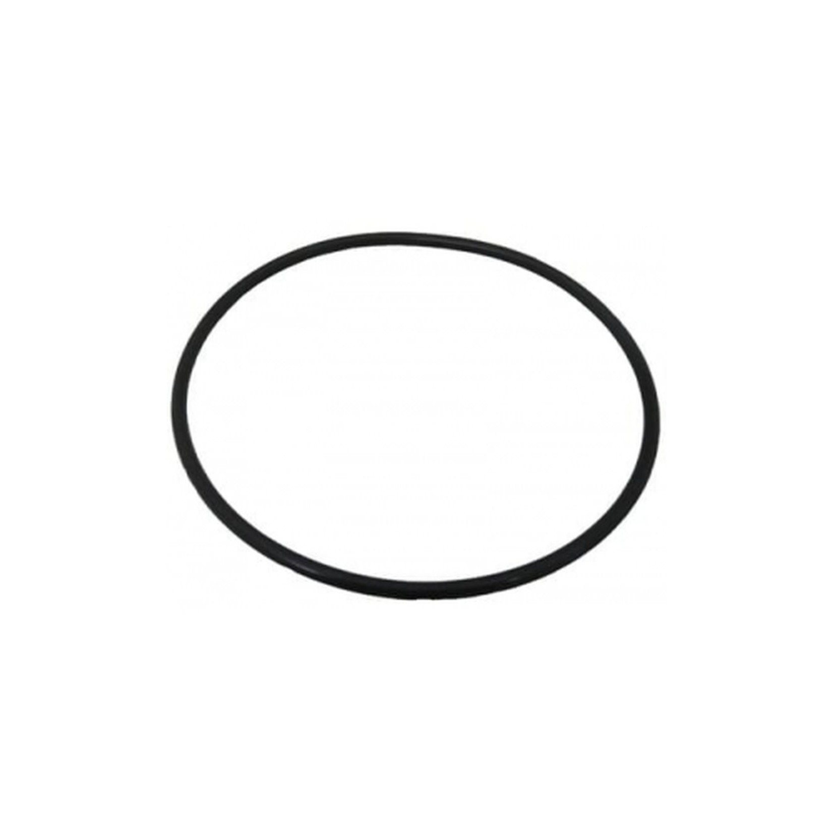 Hayward HAYWARD FILTER VALVE O'RING