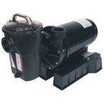 Hayward HAYWARD ULTRA PRO 1 1/2HP   2-SPEED